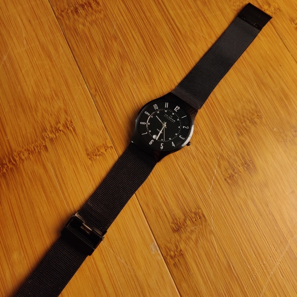 Skagen Grenen Steel Mesh and Titanium Case - Picture 2 of 3